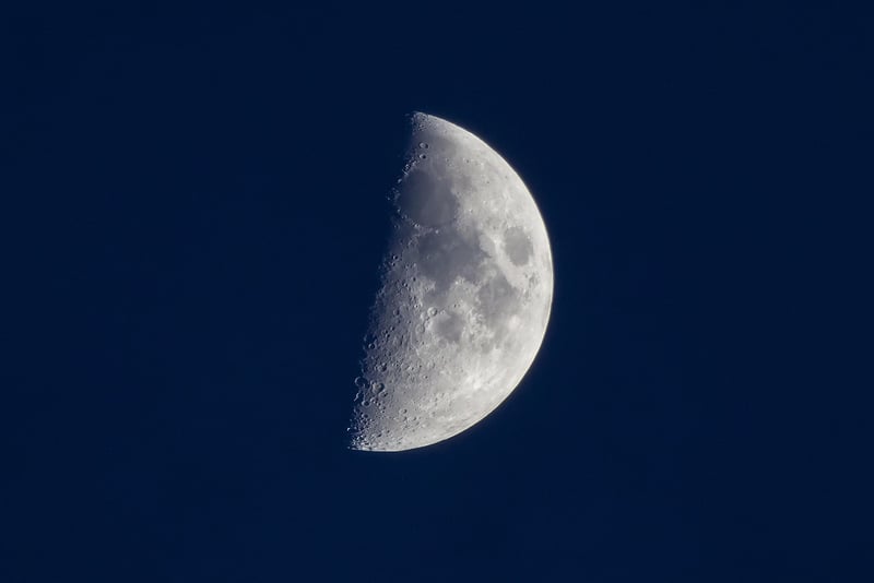 Lunar Planting